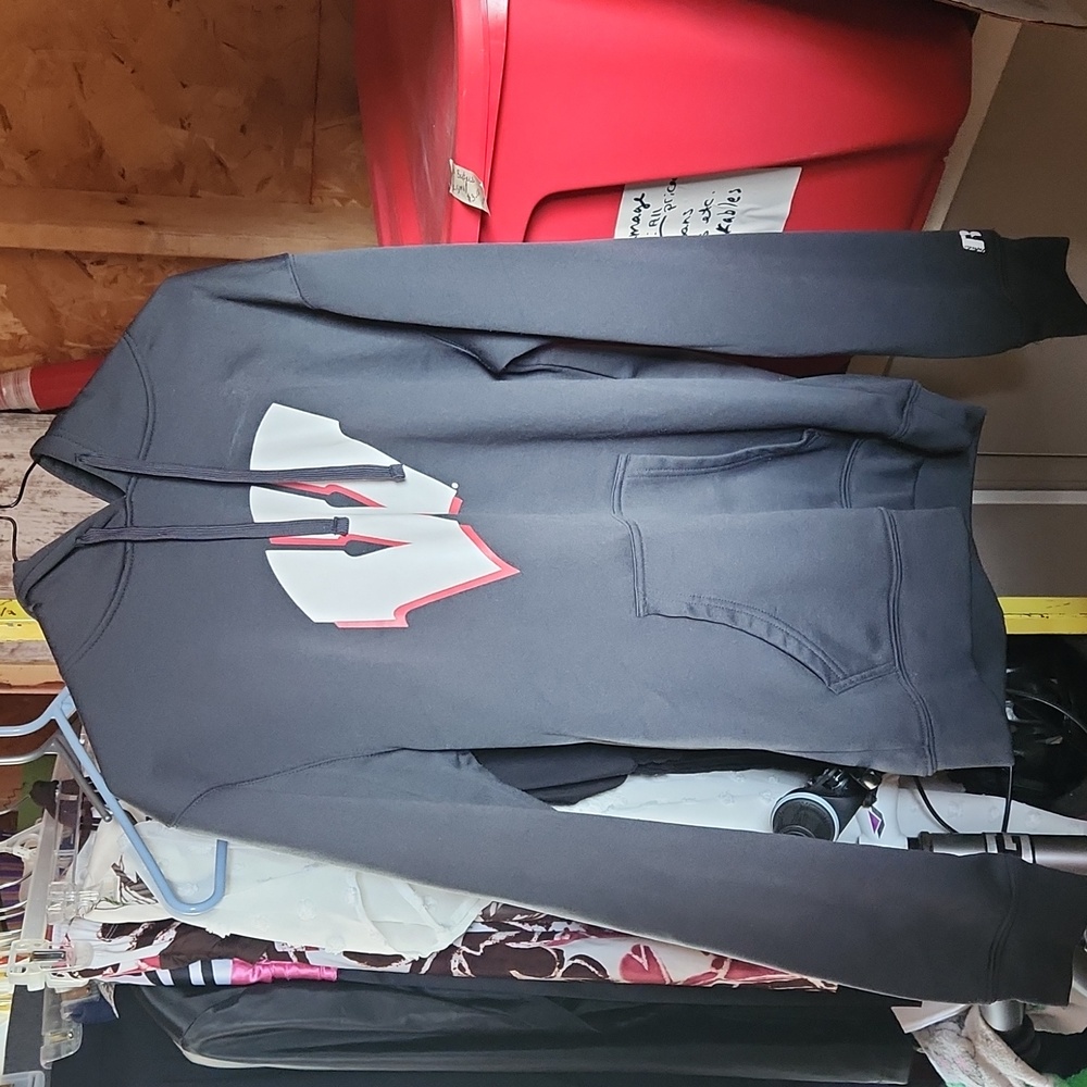 Wisconsin Badger hoodie